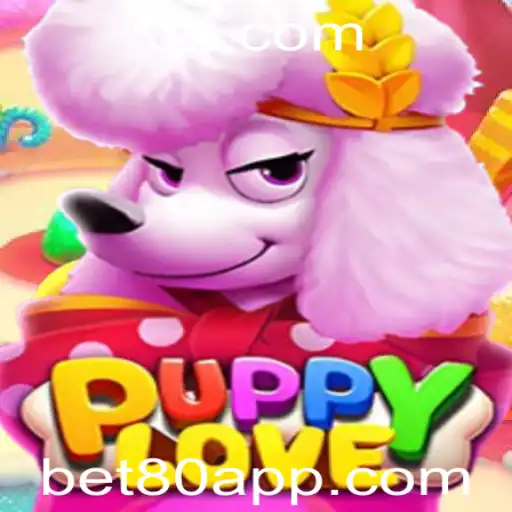 bet 80 Casino App